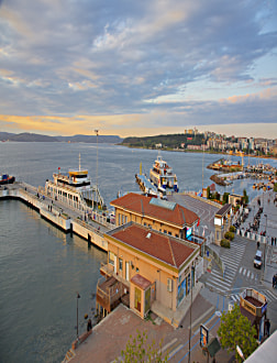 Genel